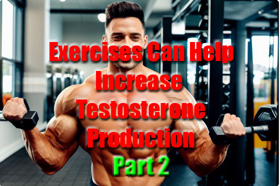 Increase testosterone with exercise part 2